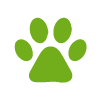 pet paw stain - Carpet Cleaning services Perth