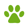 pet paw stain - Carpet Cleaning services Scarborough