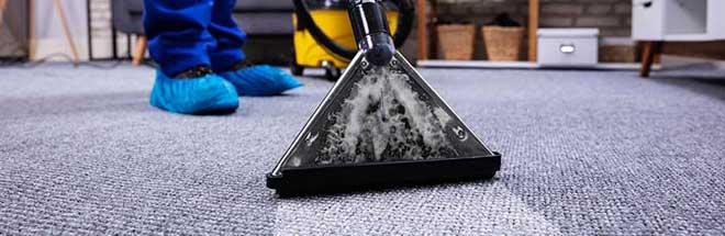 Professional Carpet Cleaning Ellenbrook