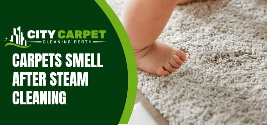 Carpets Smell After Steam Cleaning Service